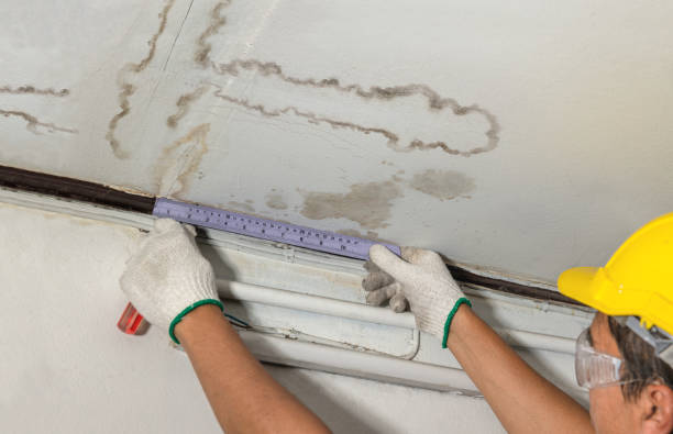 Affordable Burst Pipe Water Damage solutions in Weaver, AL